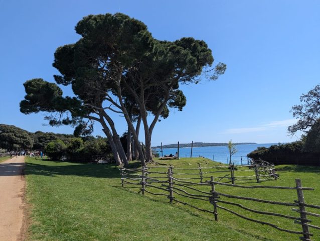 aleile-umbrite-din-parcul-national-brijuni-relaxare-la-malul-adriaticii Potecă naturală umbrită de pini în Parcul Național Brijuni, cu vedere spre mare