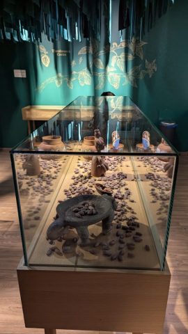descopera-istoria-cacao-la-muzeul-ciocolatei-din-zagreb Exponat cu boabe de cacao în Muzeul Ciocolatei din Zagreb