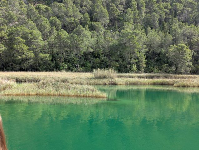 peisaj-lac-verde-krka-croatia-natura-salbatica Peisaj natural cu lac verde și vegetație sălbatică în Parcul Național Krka, Croația.