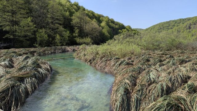 peisaj-lacustru-din-plitvice-apa-turcoaz-si-vegetatie-salbatica Apă limpede turcoaz curgând printre insulițe de vegetație și ierburi acvatice în Parcul Național Plitvice, Croația