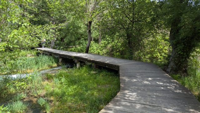 poteca-lemn-natura-parc-national-krka-croatia Potecă de lemn șerpuind printre copaci și vegetație verde, în Parcul Național Krka, Croația.