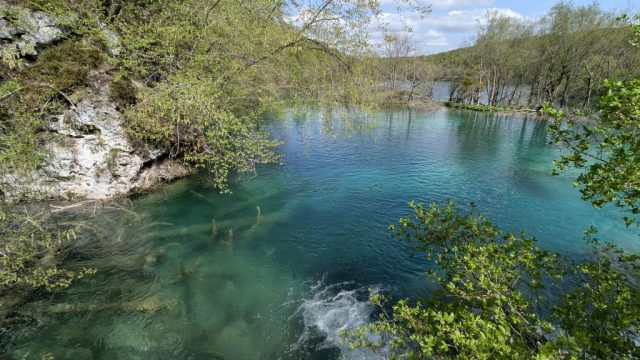 reflexii-turcoaz-si-vegetatie-salbatica-in-parcul-national-plitvice Lac cu apă turcoaz cristalină și vegetație de primăvară în Parcul Național Plitvice, Croația